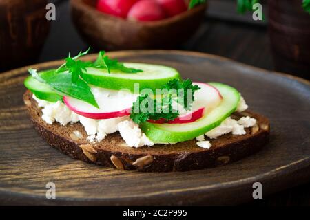 Bruschetta oder offene Sandwiche mit Gurken, Radieschen und perser-Mikrogrün auf Holzbrett Stockfoto