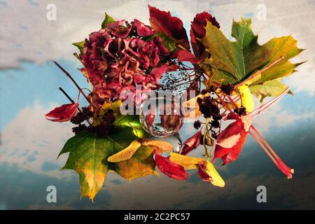 Herbststrauß reflektiert auf Spiegelfläche zusammen mit lensball. Bunte Herbstlaub auf reflektierender Oberfläche mit Glaskugel. Stockfoto