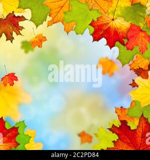 Rahmen von bunten Herbst Blätter gegen blauen Himmel Stockfoto