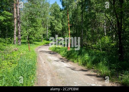 Offene Schranke auf Schotterstraße im Wald Stockfoto