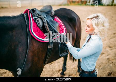 Reiterin bereitet einen Pferdesattel vor, reiten. Pferdesport, junge Frau und schöner Hengst, Nutztier Stockfoto