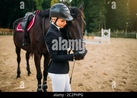 Junge Frau in Helm umarmt Pferd, Reiten. Brauner Hengst, Freizeit mit Tier, Pferdesport Stockfoto