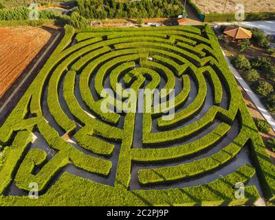 Labyrinth von Sträuchern im botanischen Park - Ayia Napa Zypern Stockfoto