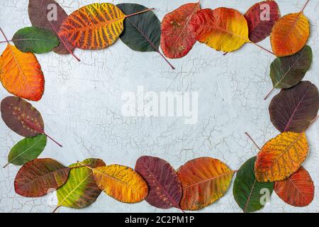Rahmen aus bunten Herbstblättern. Stockfoto