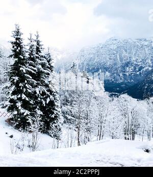 Hallstatt dreamscape winter schnee Berge Abenteuer mit blauem Himmel, verschneiten Tag, Österreich Stockfoto