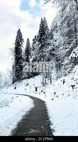 Gehweg Wandern epische Berg Outdoor-Abenteuer zum Ziel die alte Salzbergwerk von Hallstatt passieren den Pinienwald und Winter Schnee Berglandschaft o Stockfoto