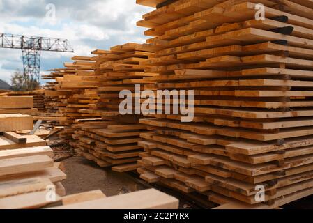 Stapel von Brettern auf Holzmühle Lager im Freien, niemand, die Holzindustrie, die Zimmerei. Holzbearbeitung auf der Fabrik, Holzsägen im Holzgarten, Säge Stockfoto