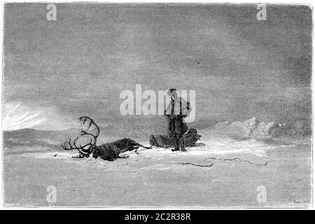 1866 Gemälde in einem Salon namens 'Winter in Lappland', der einen Reisenden zeigt, der über sein totes Rentier schaut, Illustration mit Vintage-Gravur. Magasin Pittor Stockfoto