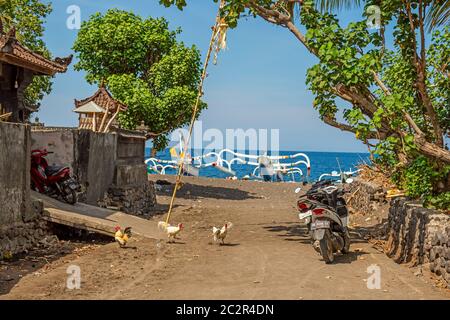 BALI, INDONESIEN - 01. Dezember 2019: Hühner gehen in der Nähe des traditionellen balinesischen Hauses in Amed, Bali, Indonesien Stockfoto