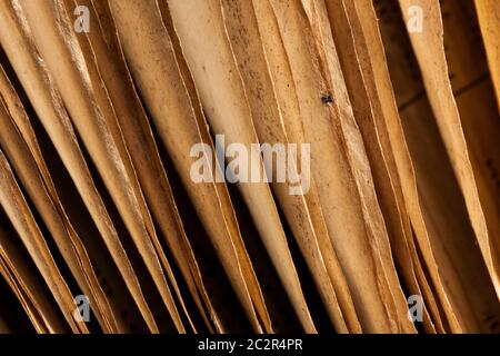 Makro der Kanten der Seiten des alten Vintage Buches Stockfoto