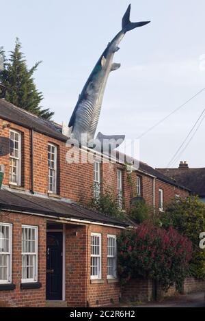 Der Headington Shark, ein großer Hai, der Kopf zuerst in das Dach eingebettet wurde, wurde am 41. Jahrestag des Abwurfs der Atombombe auf Nagasaki errichtet. Stockfoto