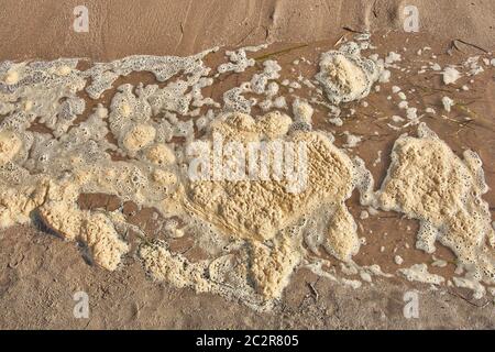 Textur von gelbem Schaum, der durch Schadstoffe auf dem Meerwasser eines Strandes produziert wird Stockfoto