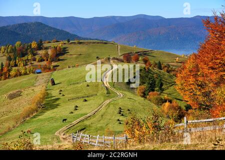 Schöne Herbstberglandschaft im Morgenlicht mit Nebel und hellen Hügeln. Karpaten, Ukraine, Europa. Stockfoto