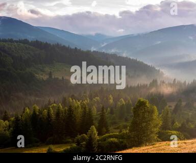 Schöne Berglandschaft mit bewaldeten Hängen. Sommerabend nach Regen in den Karpaten Stockfoto