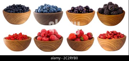 Blau-schwarze und rote Früchte und Beeren auf weiß isoliert. Süße und saftige Beeren mit Platz für Text. Maulbeeren, Heidelbeeren, Brombeeren, schwarz Stockfoto