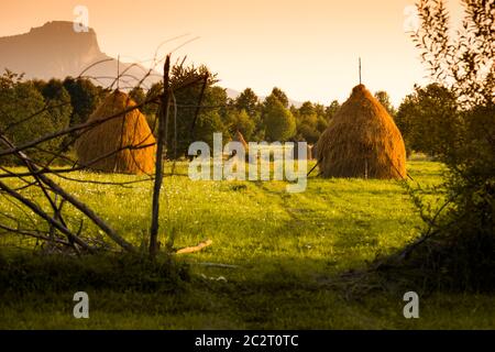 Haystacks bei Sonnenuntergang in Maramures die isolierte Region Bucovina Rumänien, Stockfoto