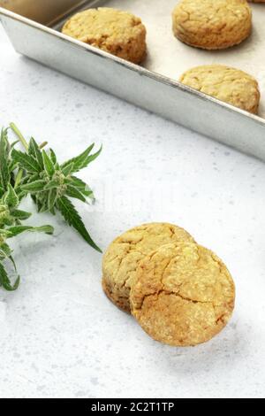 Cannabis butter Cookies mit Marihuana Knospen, hausgemachte Gesund frisch gebackene Kekse in einem Backblech Stockfoto