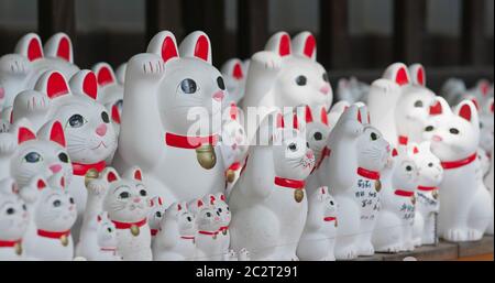 Gotokuji Schrein mit vielen Katzenstatuen Stockfoto