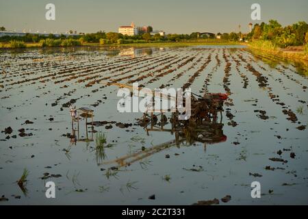 Die Pflügemaschine ruht in einem mit Wasser gefüllten Reisfeld. Stockfoto