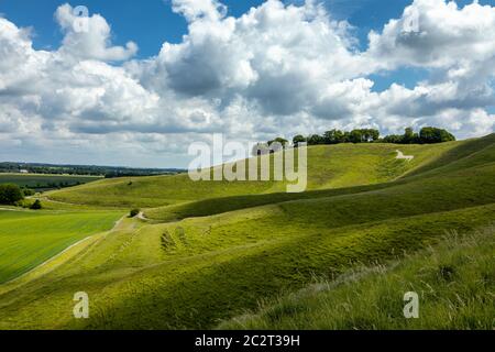 Cherhill Hill weißes Pferd Schnitt in den Nordhang von Cherhill Down Cherhill, Wiltshire, England. Stockfoto