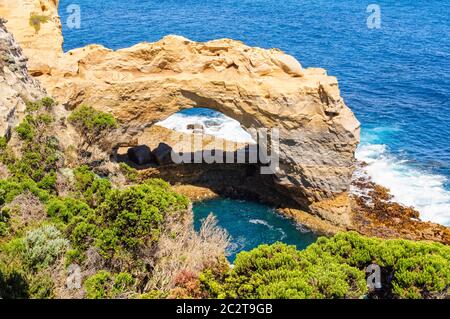 Dieses Natürlich geformtes Arch steht bei 8 Meter hoch - Port Campbell, Victoria, Australien Stockfoto