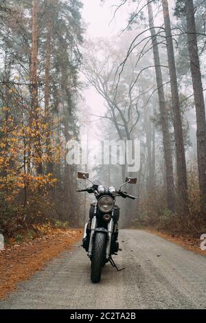 Motorrad auf der Straße in einem nebligen Kiefernwald. Regentag... Stockfoto