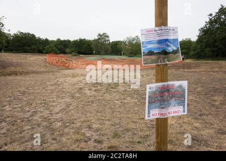 Erhaltungsmaßnahmen für Barnes Common, um die Zerstörung von Tieflandsauergrasland zu stoppen, London, England, Großbritannien Stockfoto