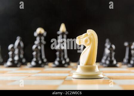 Weißer Ritter steht vor der schwarzen Schachmannschaft Stockfoto