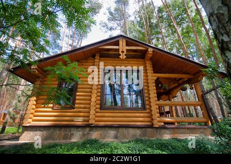 Holzchalet im Pinienwald Stockfoto