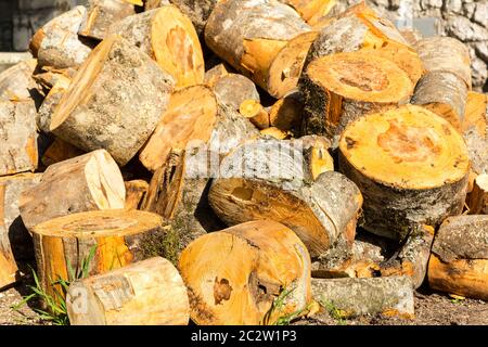Großen Haufen geschnittene Baumstämme Stockfoto