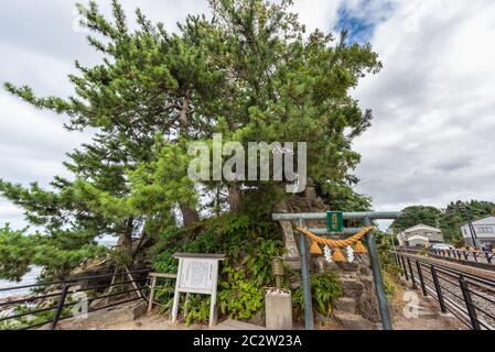 Toyama Bay Onnaiwa Rock bei Amaharashi COAs, nahe Takaoka in der Präfektur Toyama ist ein schöner Ort.Japan Stockfoto