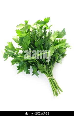 Bund glatte Petersilie isoliert auf weißem Stockfoto