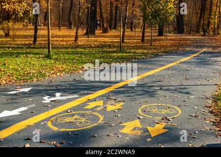 Bemaltes Fahrrad und Fußgänger Symbol mit Pfeil auf Asphaltstraße in der Stadt Straße oder Park am Herbsttag. Ausgewiesene Gehweg und Radweg markiert Stockfoto