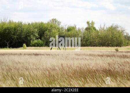 Ein hölzerner Hochsitz für die Jagd am Waldrand auf einer Lichtung Stockfoto