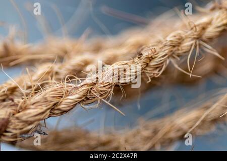 Nahaufnahme des Makrofotograf „Coir Twine“ Stockfoto