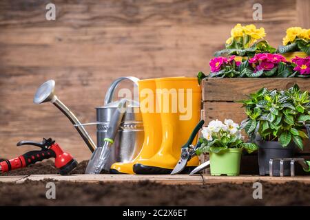 Gartenwerkzeuge Und Blumen Bereit Zum Pflanzen Stockfoto