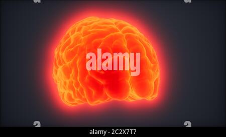 Schleife Drehen menschliche Gehirn Animation Stockfoto