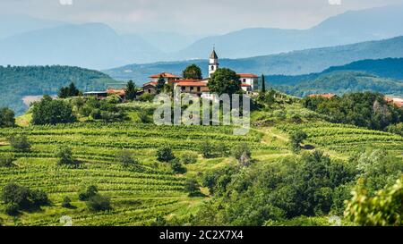 Blick auf die berühmte Weinregion Goriska Brda Hügel in Slowenien. Panoramafoto der Dörfer der Gorica Hills mit Weinbergen und Weinreben bedeckt Hügel. Ag Stockfoto