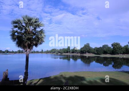 Während der Coronavirus-Pandemie sind die Tempel von Angkor verlassen. Hier erwartet die friedliche Srah Srang Reservoir / Baray die Rückkehr der Touristen. Reflexion von Bäumen im Wasser. Angkor Archäologischer Park, Provinz Siem Reap, Kambodscha. Juni 2020. © Kraig Lieb Stockfoto