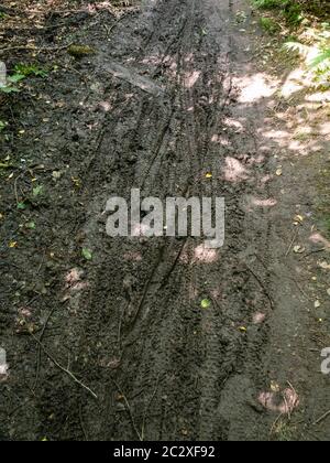 13.06.2020 Billinge, St Helens, Merseyside, UK Erosion durch Mountainbike-Reifen auf einem Fußweg in der Landschaft von Lancashire bei St. Helens Stockfoto