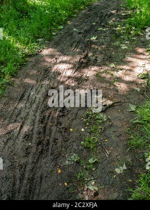 13.06.2020 Billinge, St Helens, Merseyside, UK Erosion durch Mountainbike-Reifen auf einem Fußweg in der Landschaft von Lancashire bei St. Helens Stockfoto