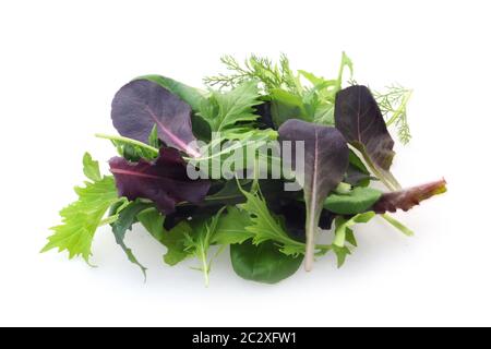 Salat Stockfoto