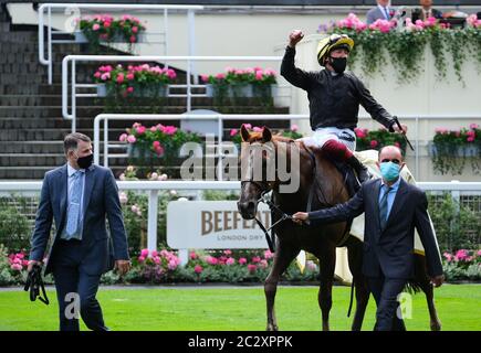 Stradivarius und Frankie Dettori nach dem Gewinn des Gold Cup am dritten Tag von Royal Ascot auf der Ascot Rennbahn. Stockfoto