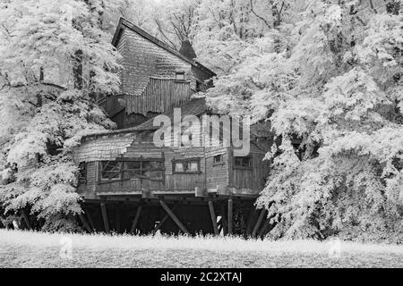 The Treehouse Restaurant, Alnwick Park, Nothumberland, England, Großbritannien Stockfoto