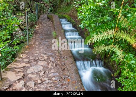 Wanderweg nach 25 Quellen, 25 Fontes, Rabacal, Madeira, Stockfoto