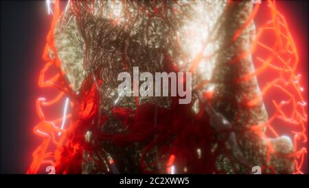 3d medikamentös genaue Animation von Herz- und Blutgefäßen Stockfoto