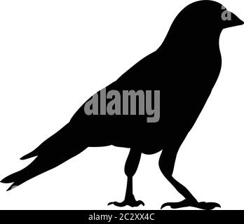 Silhouette von Krähen, Vögeln Stock Vektor