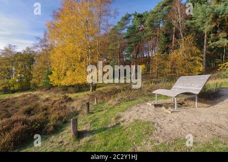 Herbst im Naturreservat Senne, Oerlinghausen, Ostwestfalen-Lippe, Nordrhein-Westfalen, Deutschland, Westeuropa Stockfoto