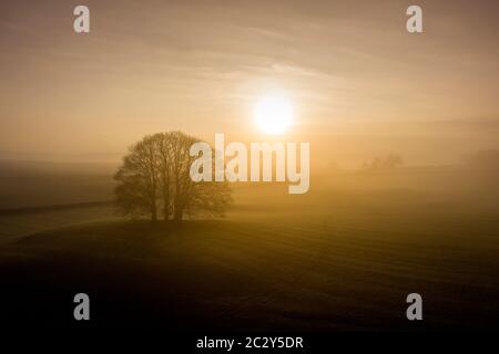 Sonnenaufgang über Ackerland in der Nähe des Yorkshire Dales Dorf Eshton ein kleines Dorf und eine zivile Pfarrei im Craven Distrikt von North Yorkshire Stockfoto