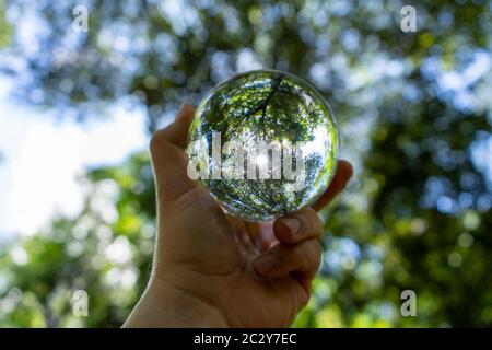 Bild eines Waldes in einem Ball Stockfoto